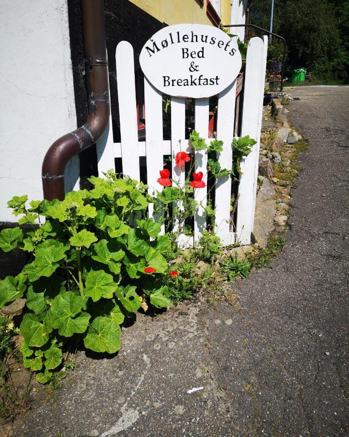 Mollehusets Bed & Breakfast Nordborg Exterior foto